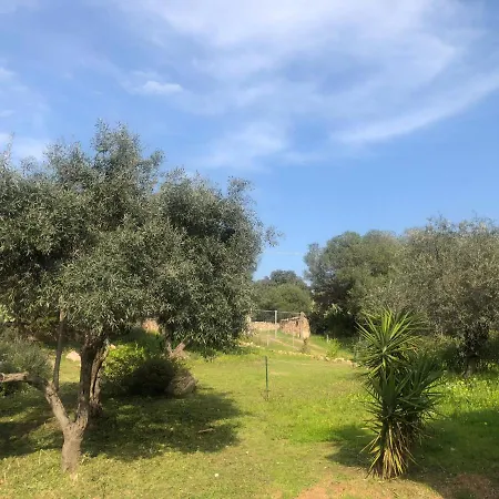 Casa Vacanza La Sarra Loiri Porto San Paolo